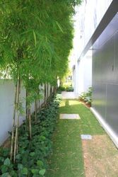 Ocean Drive (D4), Detached #288488031